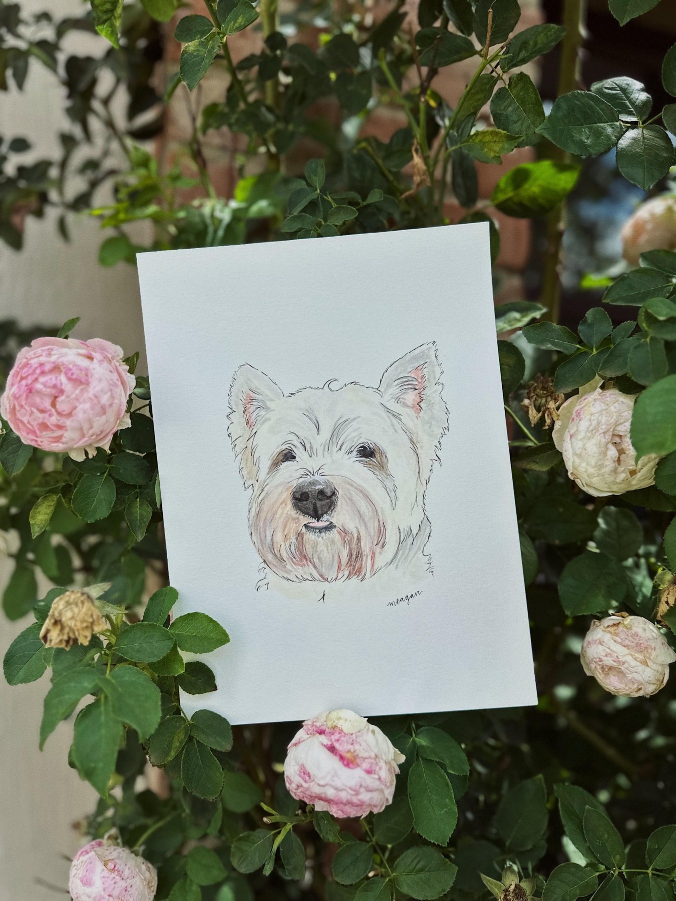 Illustrated portrait of a white dog among flowers